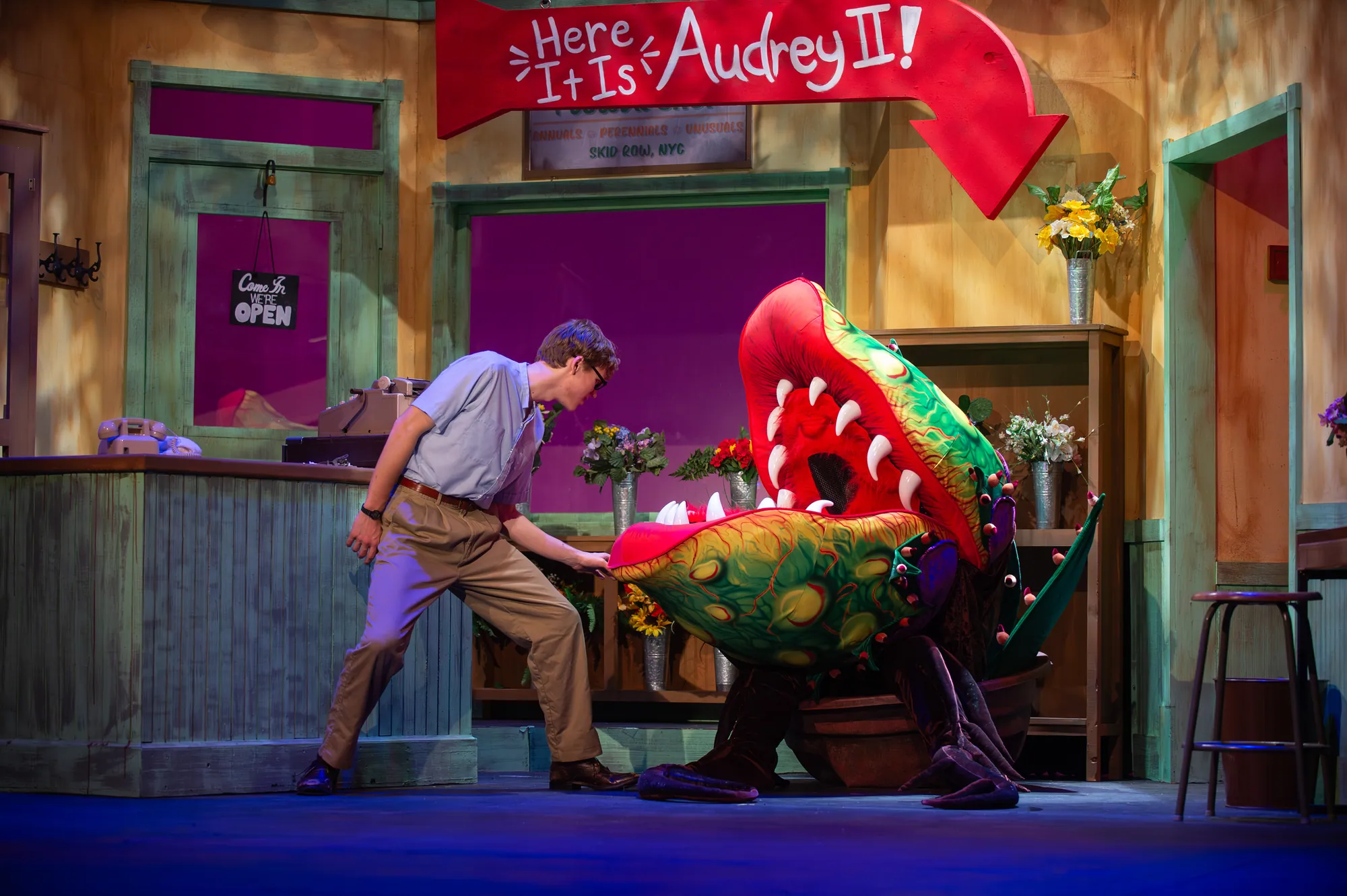 Seymour leans over the shop counter beside the giant plant